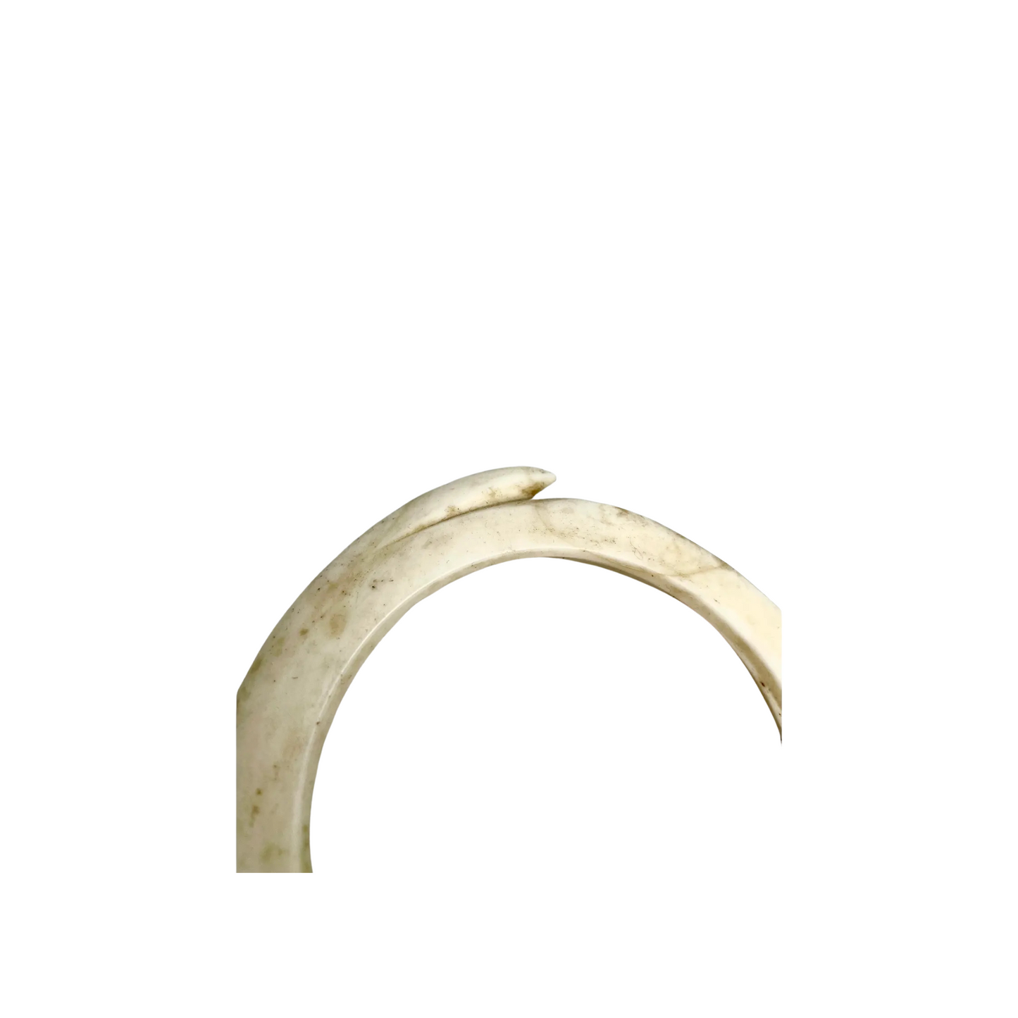 Antique Mounted New Guinea Abelam Currency Shell Rings