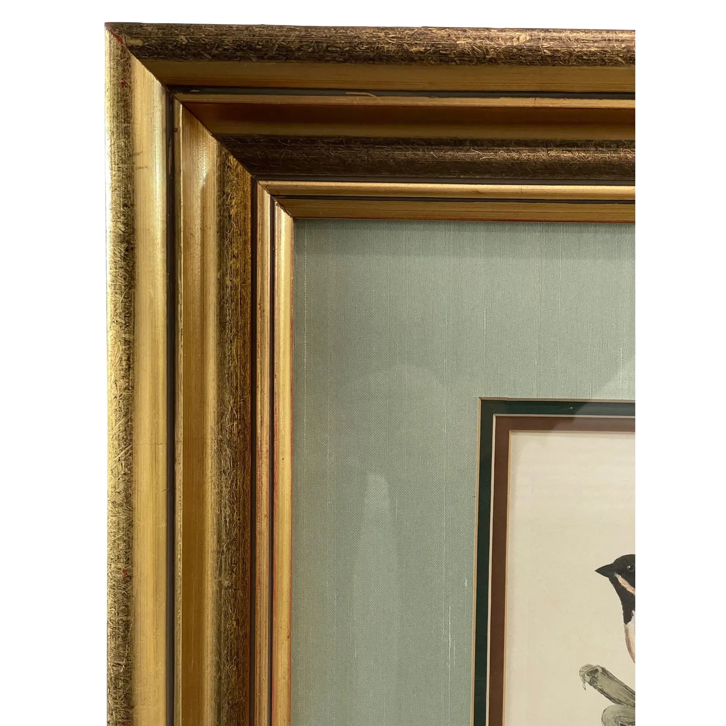 19th Century Antique English Hand Colored Bunting Bird Engraving