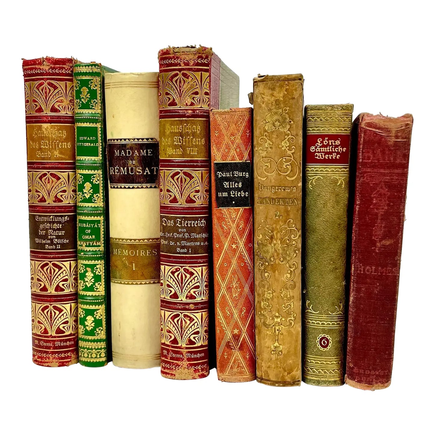 Antique German Leather Decorative Books- a Set of 8