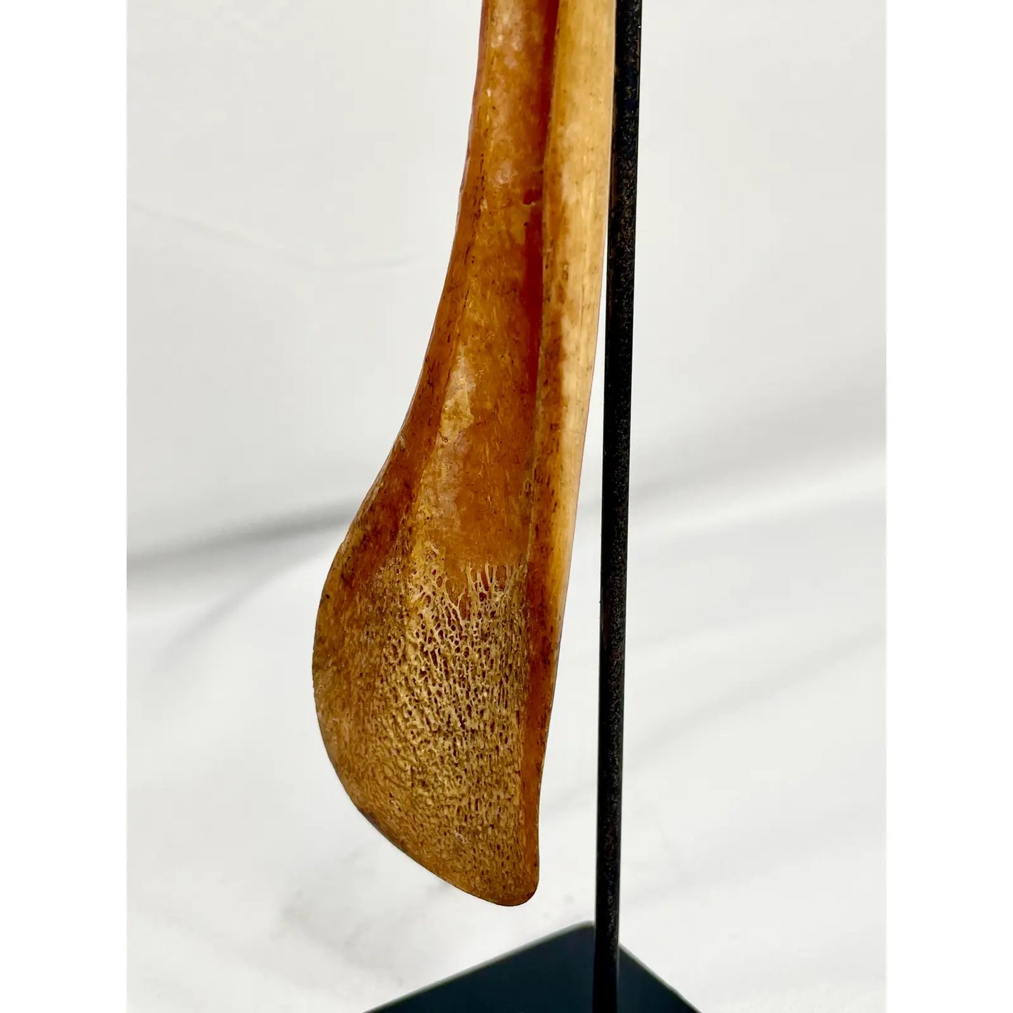 Antique Papua New Guinea Azera Banana Scraper Spoon on Stand
