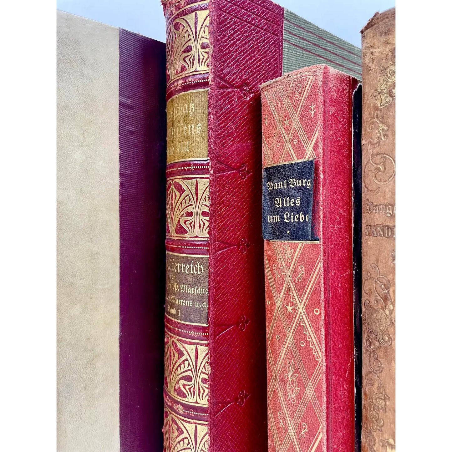 Antique German Leather Decorative Books- a Set of 8