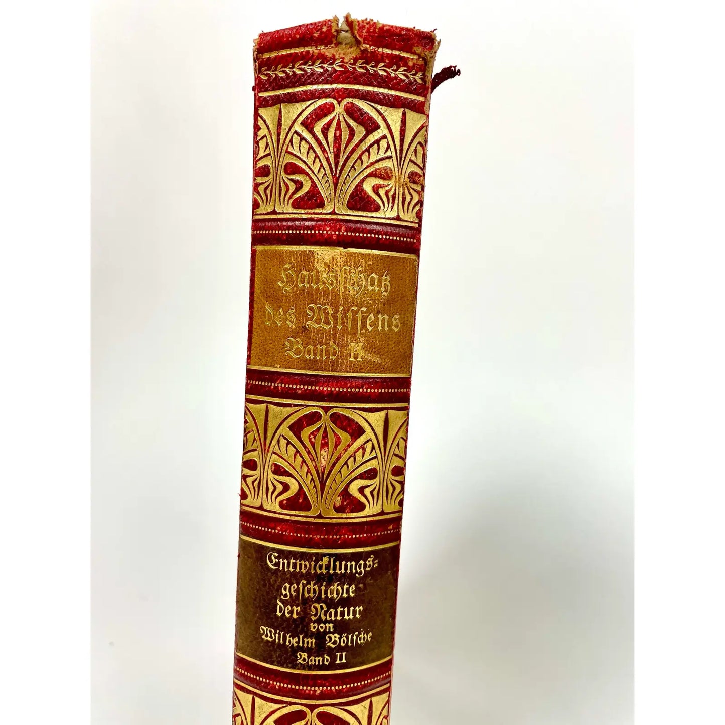 Antique German Leather Decorative Books- a Set of 8