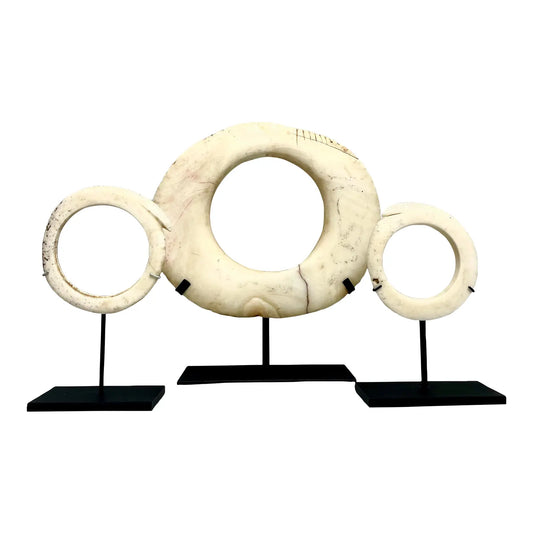 Antique Mounted New Guinea Abelam Currency Shell Rings