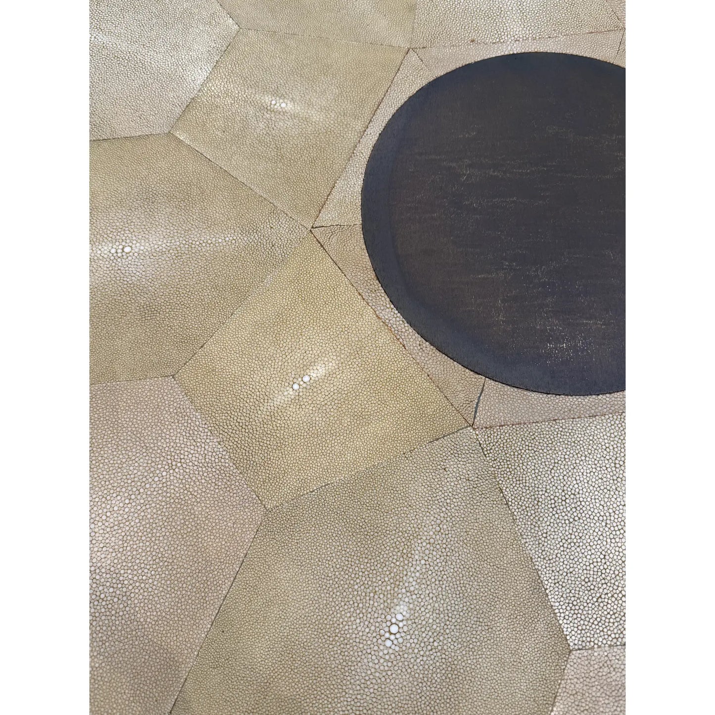Promemoria Erasmo Shagreen and Bronze Center Table