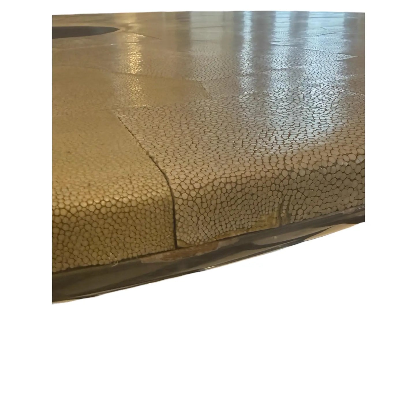 Promemoria Erasmo Shagreen and Bronze Center Table