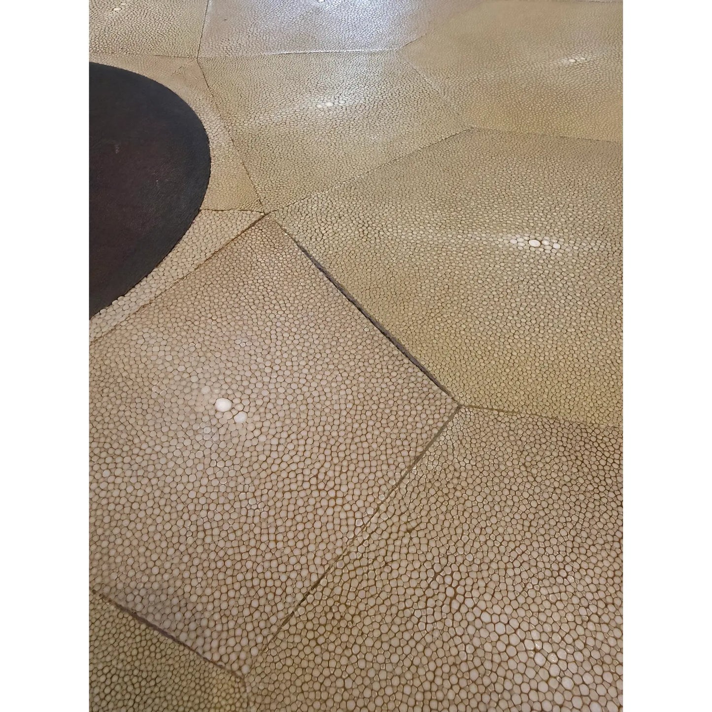 Promemoria Erasmo Shagreen and Bronze Center Table
